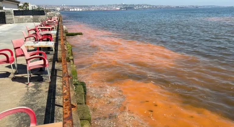 TEKİRDAĞ KIYILARINDAKİ RENK DEĞİŞİMİNİN NEDENİ: MEVSİMSEL ALG PATLAMASI