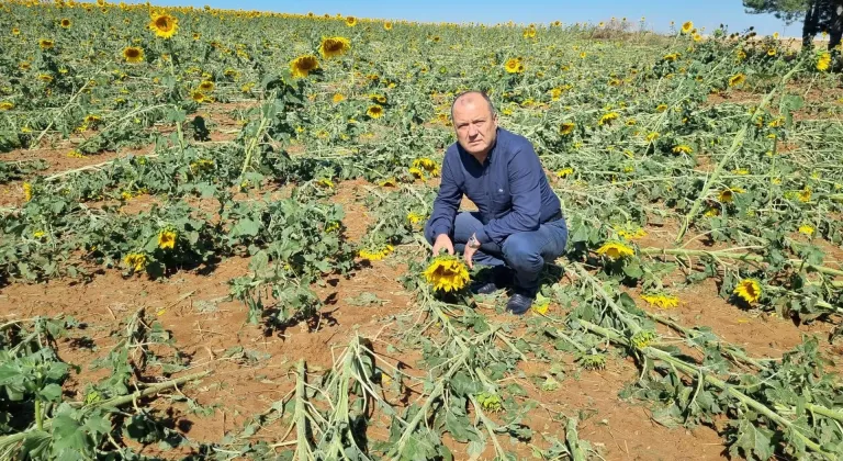 Manşet Resmi