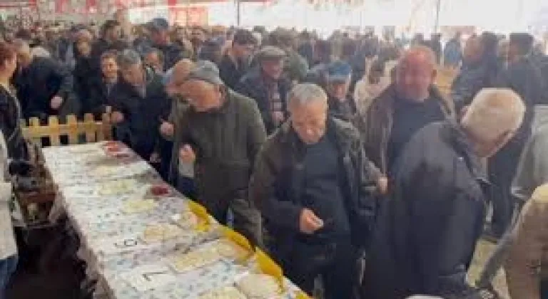 Tekirdağ’da En Güzel Keçi Peyniri Seçil