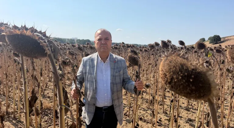 TÜRK ÇİFTÇİSİ İTHALAT LOBİSİNE YEM EDİLDİ