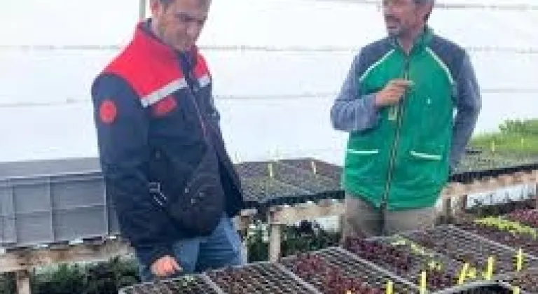 Üreticilere teknik destek