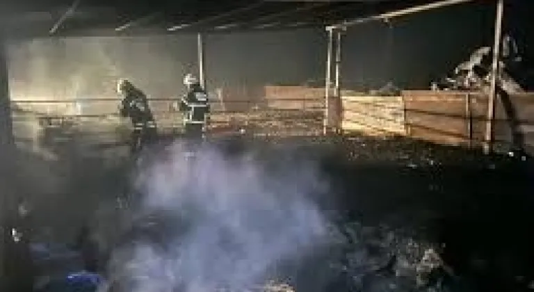 Yangında 100 Koyun Telef Oldu