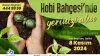 Haber Resmi